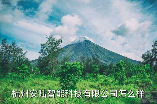 杭州安陸智能科技有限公司怎么樣