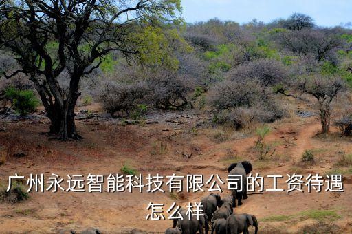 廣州永遠(yuǎn)智能科技有限公司的工資待遇怎么樣