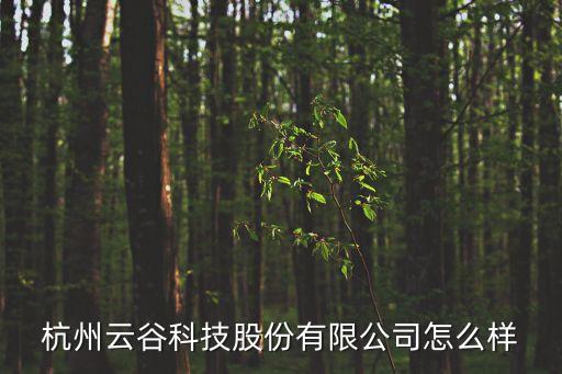 云谷智能科技怎么樣，杭州云谷科技股份有限公司怎么樣