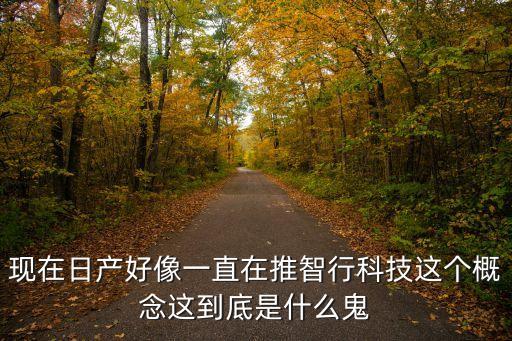 現(xiàn)在日產(chǎn)好像一直在推智行科技這個概念這到底是什么鬼