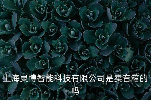 上海靈博智能科技有限公司是賣音箱的嗎