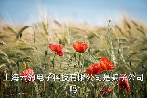 上海云豹電子科技有限公司是騙子公司嗎