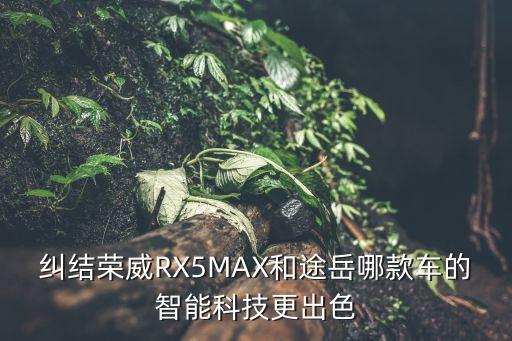 糾結(jié)榮威RX5MAX和途岳哪款車的智能科技更出色