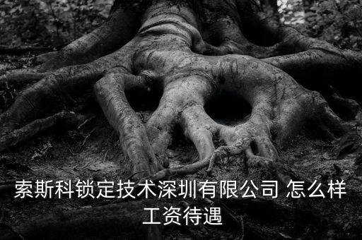 索斯科鎖定技術(shù)深圳有限公司 怎么樣 工資待遇