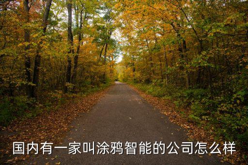 涂鴉智能科技怎么樣，涂鴉智能在業(yè)界的口碑怎么樣啊
