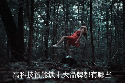 高科技智能鎖十大品牌都有哪些