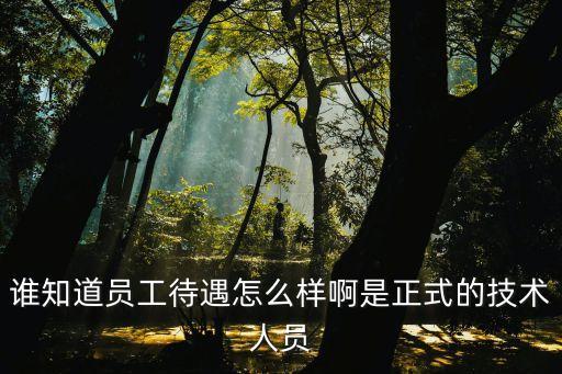 誰(shuí)知道員工待遇怎么樣啊是正式的技術(shù)人員