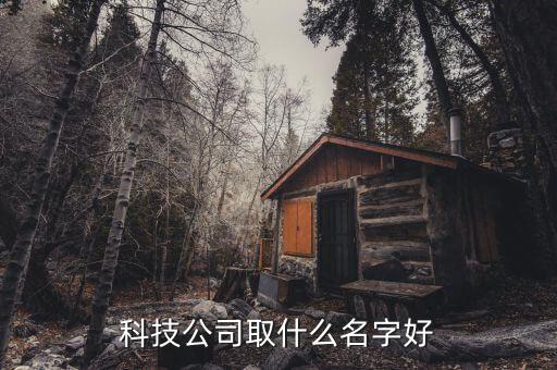 科技公司取什么名字好