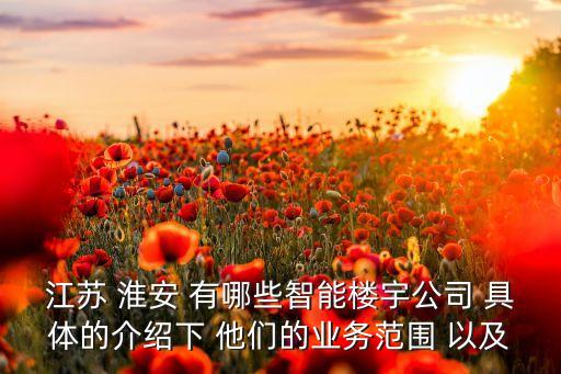 江蘇創(chuàng)新智能科技有哪些，江蘇 淮安 有哪些智能樓宇公司 具體的介紹下 他們的業(yè)務(wù)范圍 以及