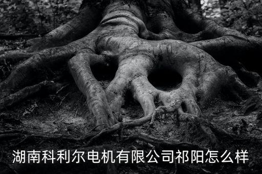 湖南科利爾電機有限公司祁陽怎么樣