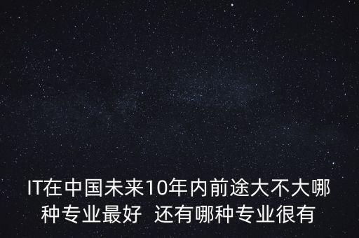 IT在中國(guó)未來(lái)10年內(nèi)前途大不大哪種專業(yè)最好  還有哪種專業(yè)很有