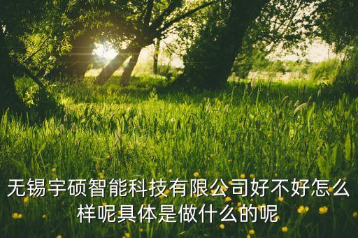 無錫宇碩智能科技有限公司好不好怎么樣呢具體是做什么的呢