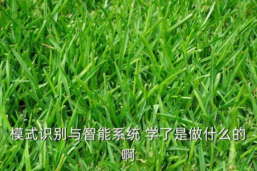 模式識(shí)別與智能系統(tǒng) 學(xué)了是做什么的啊