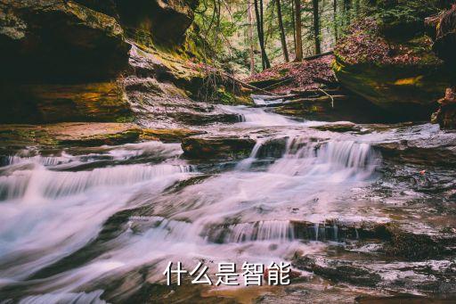 什么是智能