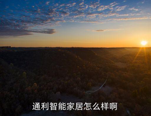 通利智能家居怎么樣啊