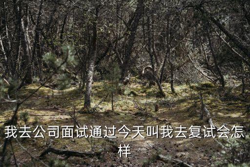 賽摩智能科技復(fù)試怎么樣，可以在具體一下嗎我收到這家公司的面試 不知道怎么樣 這家公司