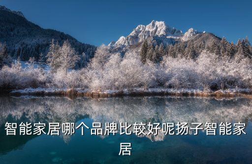 智能家居哪個品牌比較好呢揚子智能家居