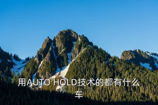 用AUTO HOLD技術(shù)的都有什么車