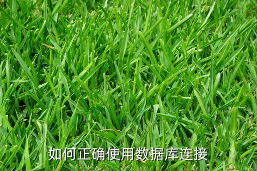 如何正確使用數(shù)據(jù)庫連接