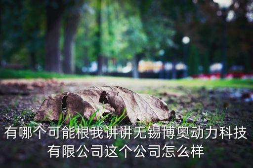 有哪個可能根我講講無錫博奧動力科技有限公司這個公司怎么樣