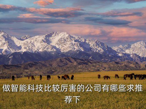 做智能科技比較厲害的公司有哪些求推薦下