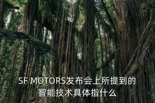 安科迪智能科技主要做什么，rainno 是做什么的公司在那