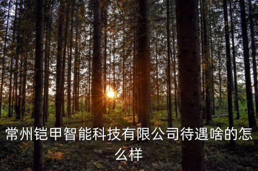 常州鎧甲智能科技有限公司待遇啥的怎么樣