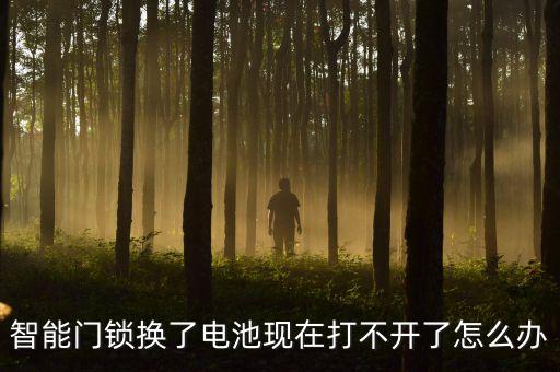 智能門鎖換了電池現(xiàn)在打不開了怎么辦