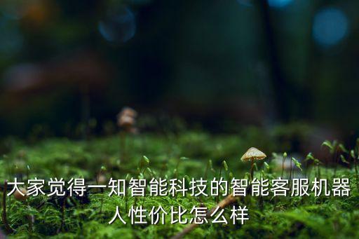 大家覺得一知智能科技的智能客服機(jī)器人性價(jià)比怎么樣