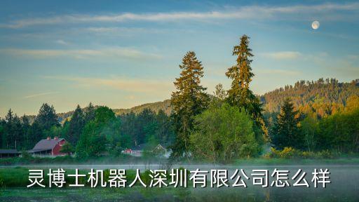 靈博士機(jī)器人深圳有限公司怎么樣