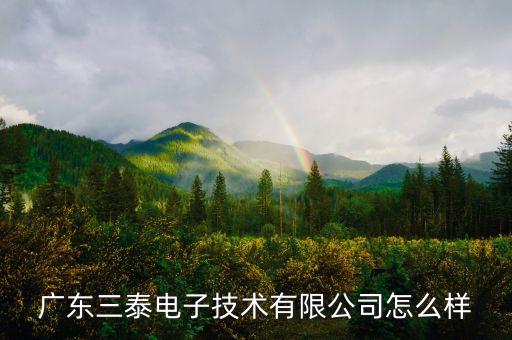 廣東三泰電子技術(shù)有限公司怎么樣