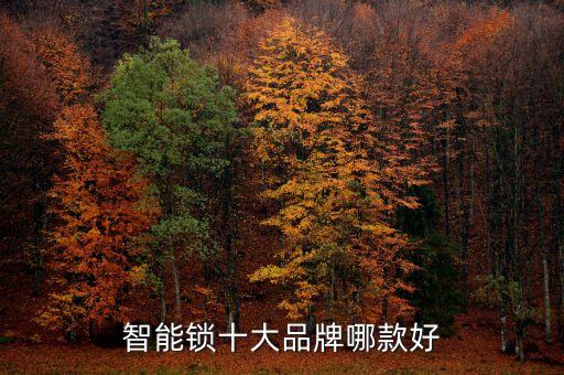 智能鎖十大品牌哪款好