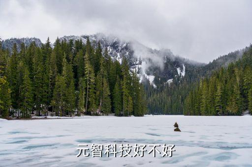 元智科技好不好