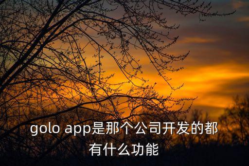 岳陽(yáng)市豪庭智能科技是什么，golo app是那個(gè)公司開(kāi)發(fā)的都有什么功能