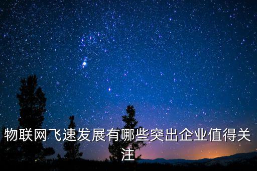 物聯(lián)網(wǎng)飛速發(fā)展有哪些突出企業(yè)值得關(guān)注