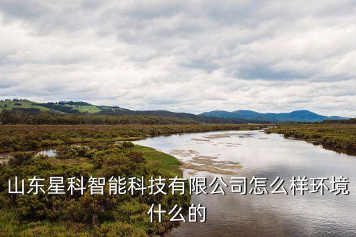 摘星智能科技怎么樣，濟南星科智能科技公司怎么樣待遇如何