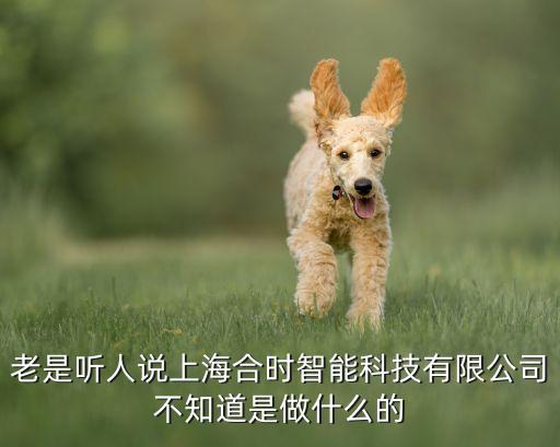 相合智能科技多少年了，深圳睿云智合科技有限公司截止2017年累計服務過的金融機構有多少個