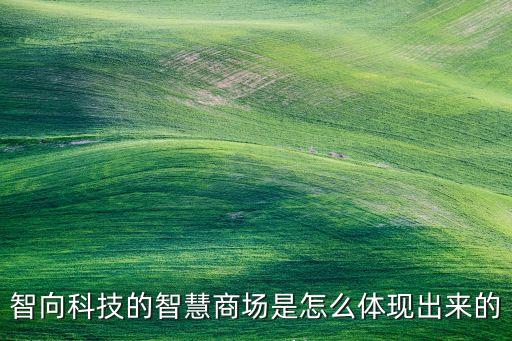 智向科技的智慧商場是怎么體現(xiàn)出來的