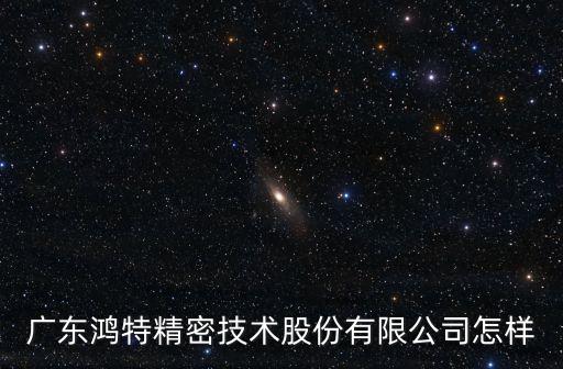 廣東鴻特精密技術(shù)股份有限公司怎樣
