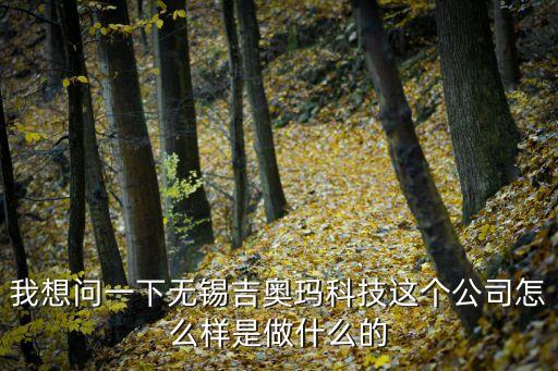 我想問(wèn)一下無(wú)錫吉奧瑪科技這個(gè)公司怎么樣是做什么的
