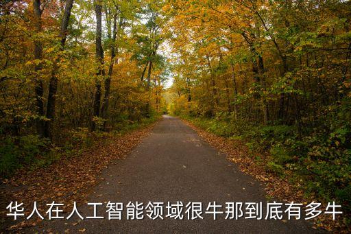 華人在人工智能領(lǐng)域很牛那到底有多牛