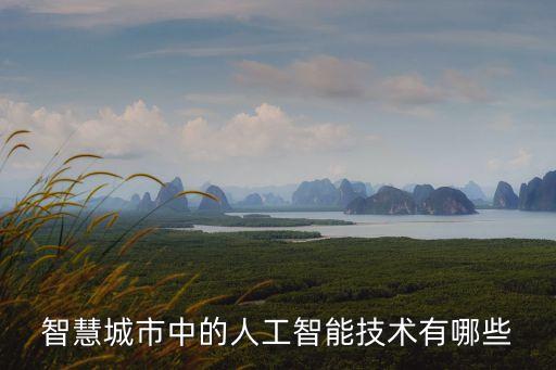 智慧城市中的人工智能技術有哪些
