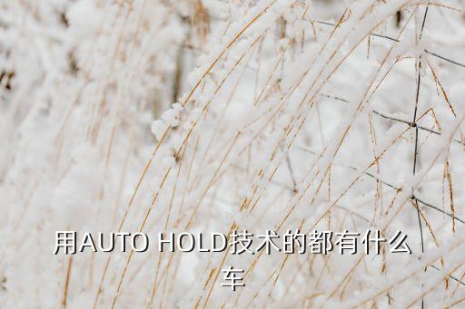 用AUTO HOLD技術(shù)的都有什么車