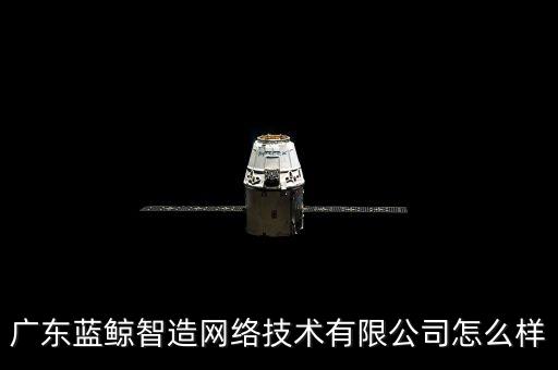 藍(lán)鯨智能科技插畫怎么樣，廣州藍(lán)科智能科技有限公司怎么樣