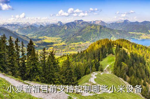 小愛智能科技有哪些，小米智能音箱小愛有幾種
