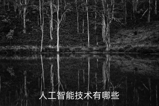 人工智能技術(shù)有哪些