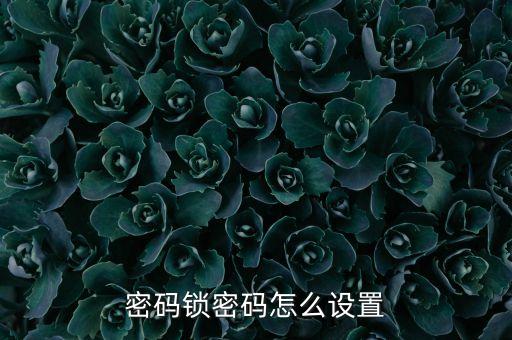 密碼鎖密碼怎么設(shè)置