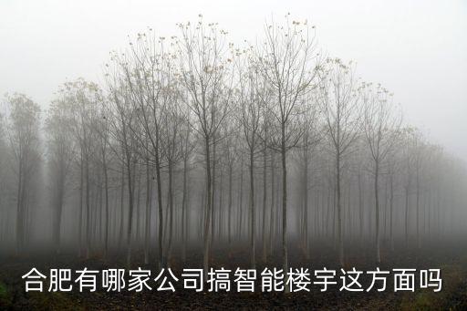 合肥有哪家公司搞智能樓宇這方面嗎