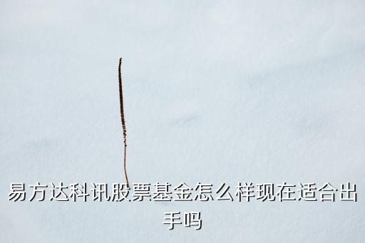 易方達(dá)智能科技股票怎么樣，易方達(dá)科訊股票基金怎么樣現(xiàn)在適合出手嗎