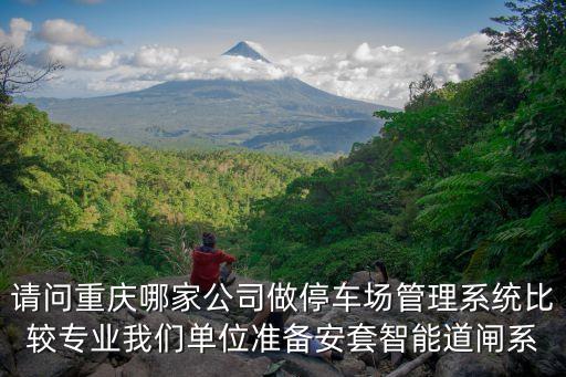 請問重慶哪家公司做停車場管理系統(tǒng)比較專業(yè)我們單位準(zhǔn)備安套智能道閘系